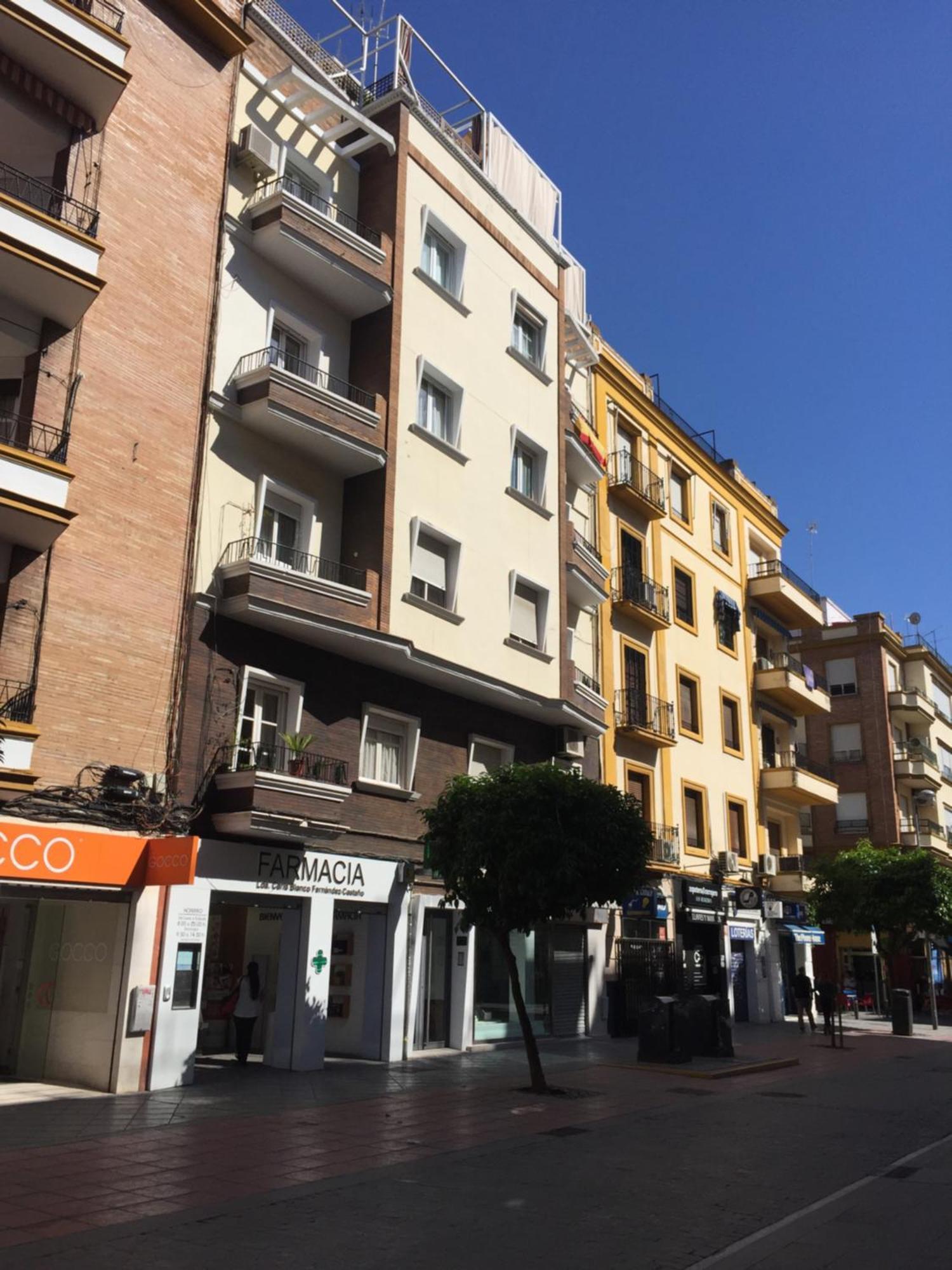 Penthouse Asuncion Feria, Seville